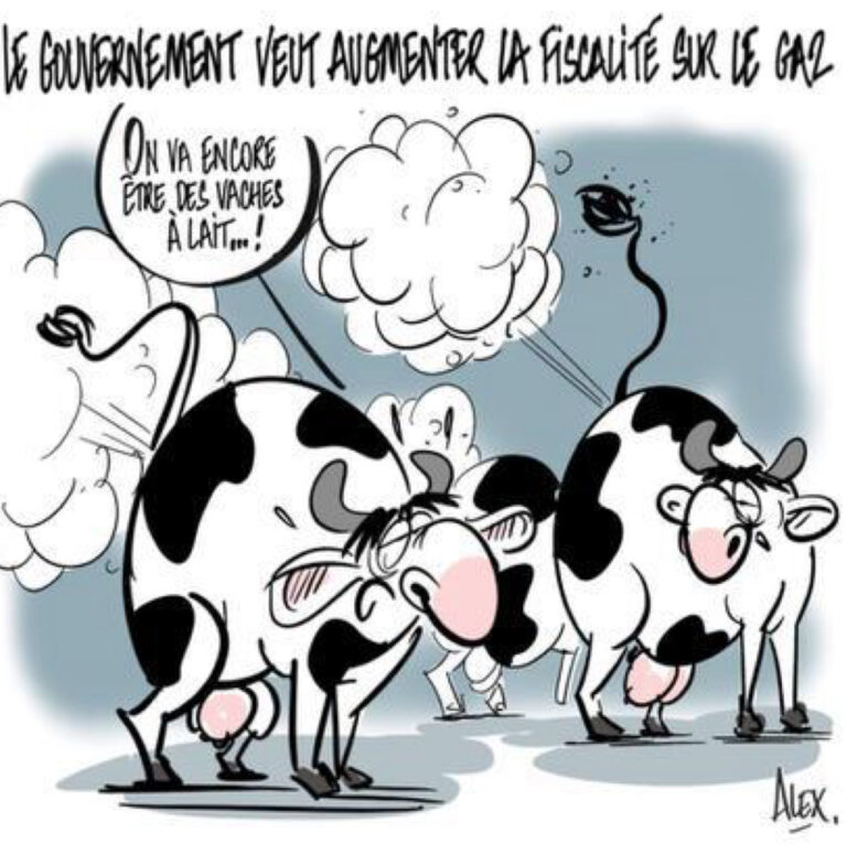 20241012LArdennais