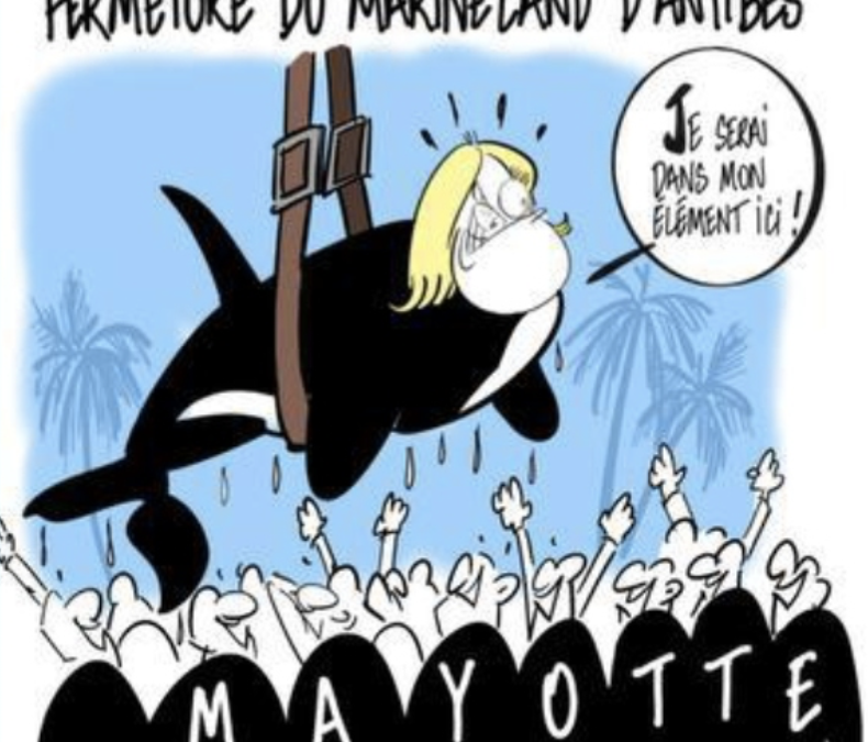 Marine Le Pen, quel avenir ?