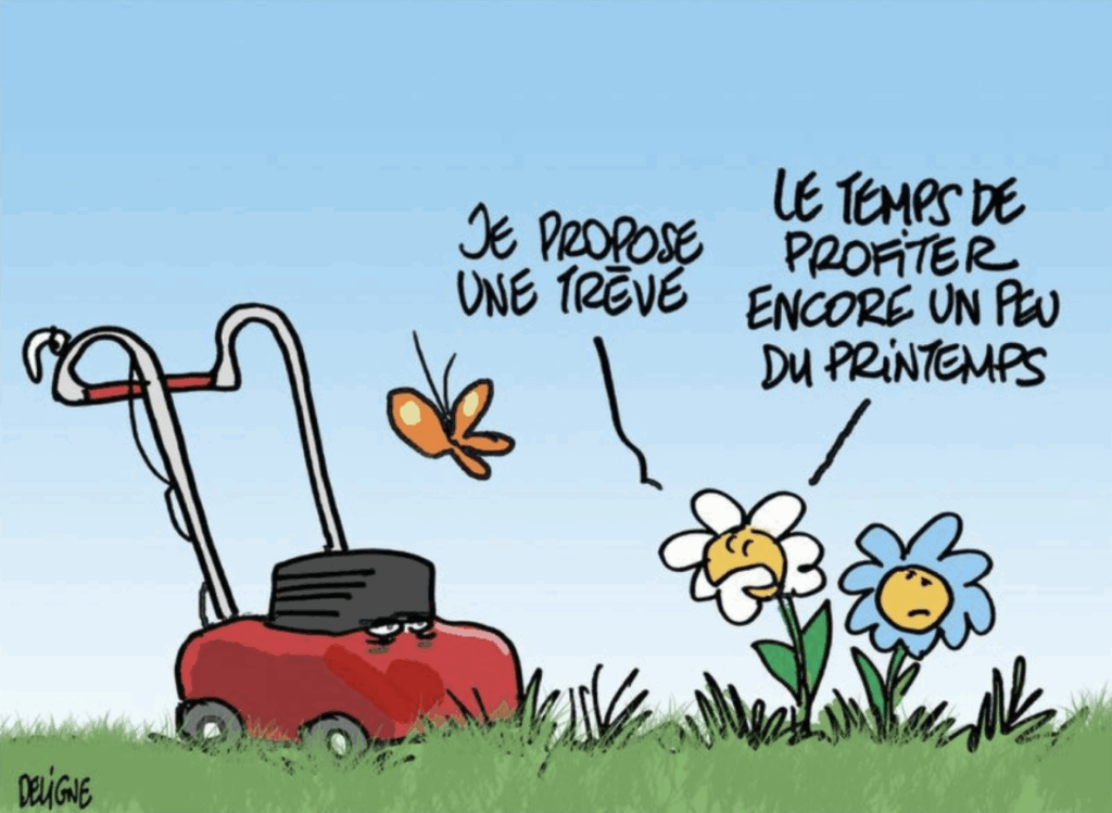 20250425LaCroix