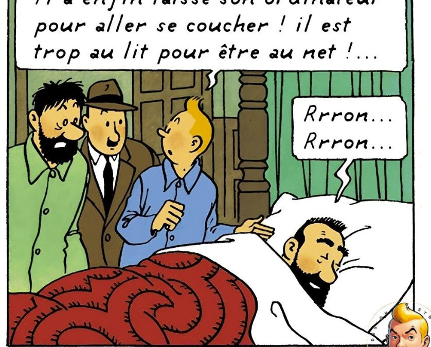 Tintin détourné