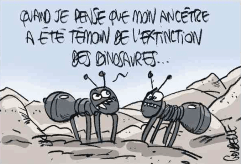 20250721CharenteLibre