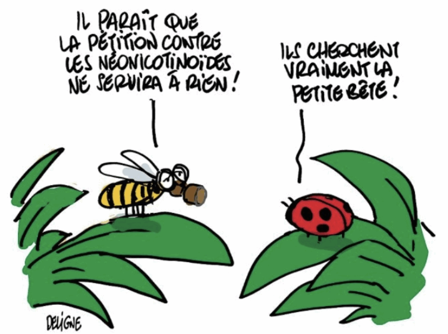 22 juillet 2025