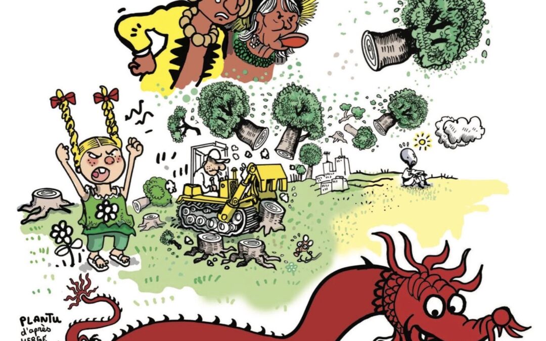 La Cop 30, changements climatiques