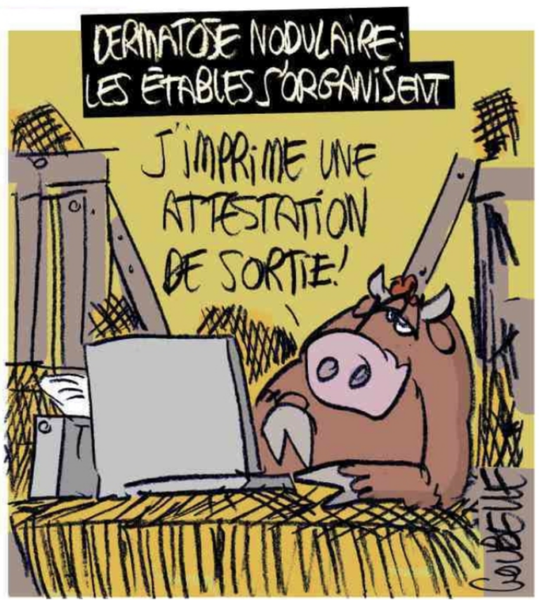 20251219CharenteLibre