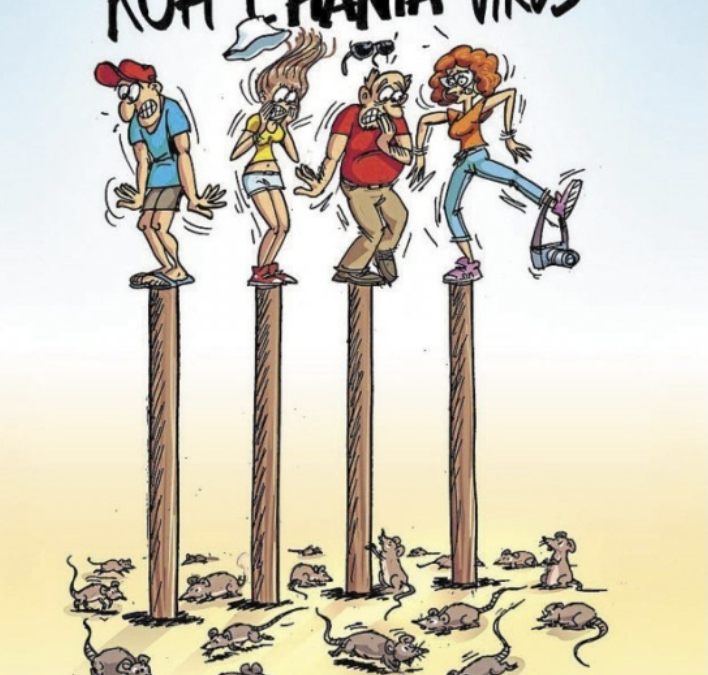 Hantavirus, alerte !!!