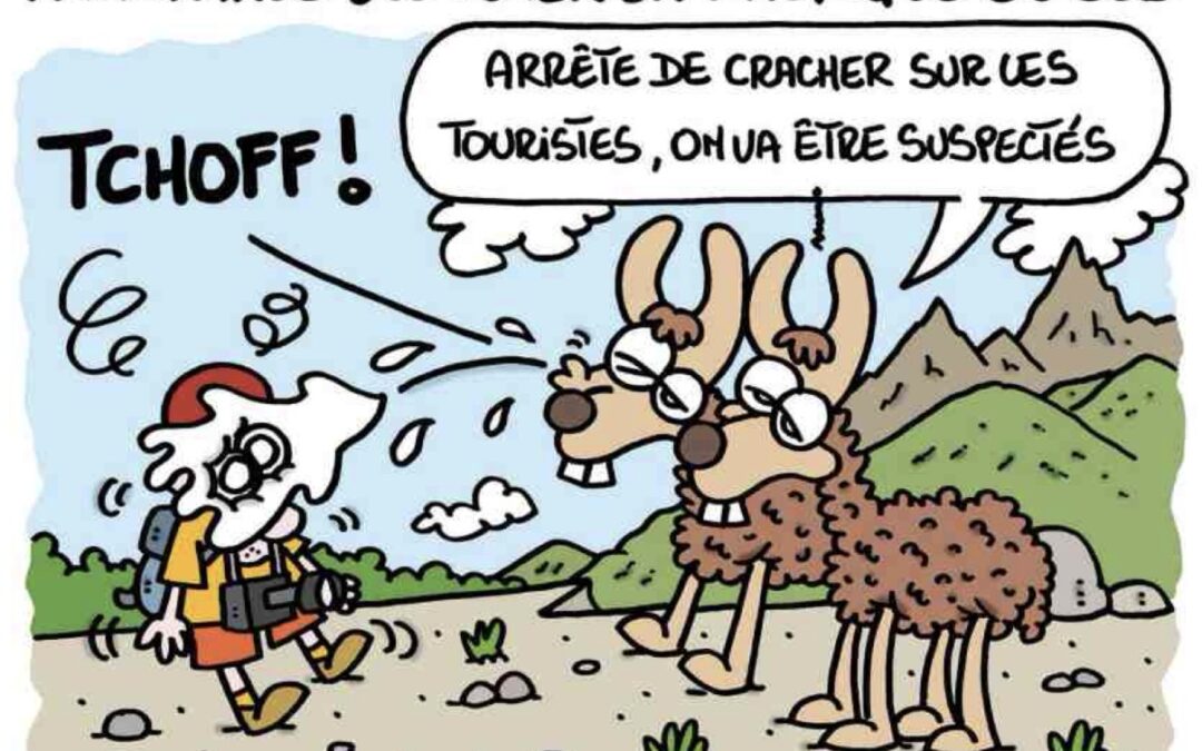 Hantavirus, alerte !!!