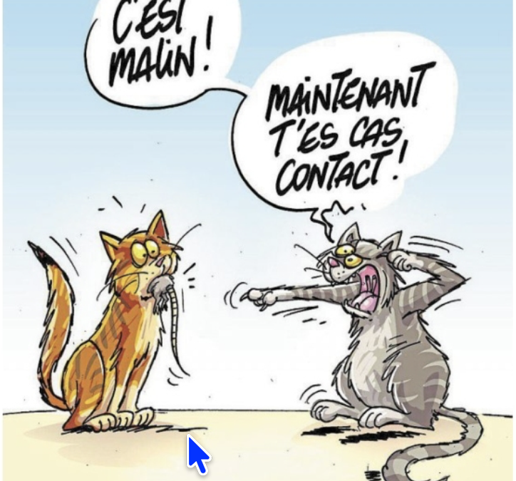 13 mai 2026