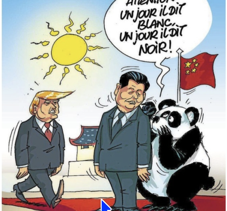Les perles 2026