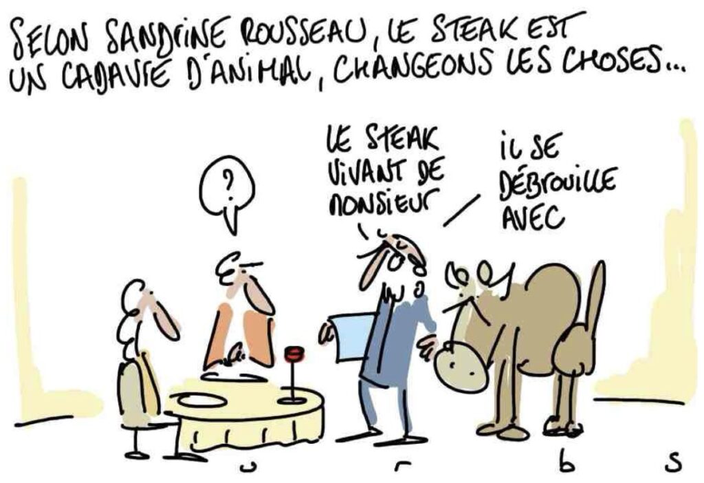 20260522SudOuest.jpg