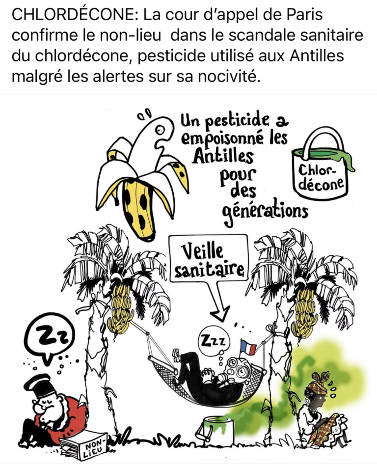 20260624Plantu